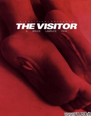 Locandina del film The Visitor