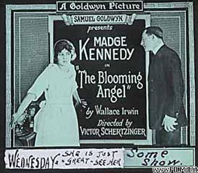 Poster of movie the blooming angel