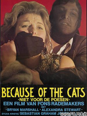 Locandina del film perché i gatti