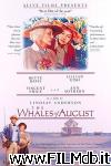 poster del film Le balene d'agosto
