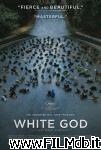 poster del film White God - Sinfonia per Hagen