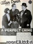 poster del film A Perfect Crime