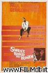 poster del film sweet bird of youth