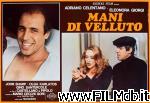 poster del film mani di velluto