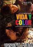 poster del film Vida y color