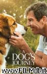 poster del film a dog's journey