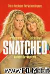 poster del film snatched