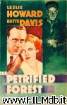 poster del film The Petrified Forest