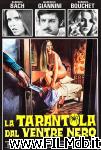 poster del film black belly of the tarantula