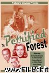 poster del film The Petrified Forest [filmTV]