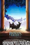 poster del film the princess bride