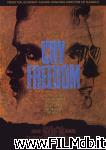 poster del film cry freedom