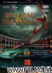 poster del film big fish and begonia