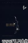poster del film bird