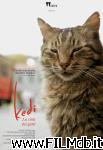 poster del film kedi - la città dei gatti