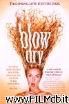 poster del film Blow Dry - Never Better