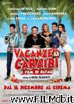 poster del film vacanze ai caraibi - il film di natale