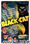 poster del film The Black Cat