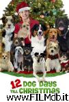 poster del film 12 cani sotto l'albero