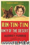 poster del film Rinty of the Desert
