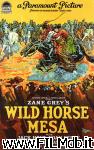 poster del film Wild Horse Mesa