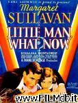 poster del film Little Man, What Now?
