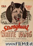 poster del film White Fang