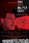poster del film The Red Maple Leaf
