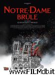 poster del film Notre Dame in fiamme