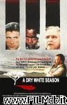 poster del film A Dry White Season