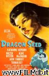 poster del film La stirpe del drago