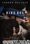 poster del film bird box