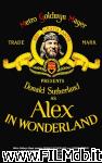 poster del film Alex in Wonderland