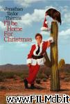 poster del film i'll be home for christmas