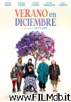 poster del film Verano en diciembre