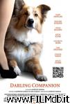 poster del film darling companion