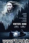 poster del film Winter's Bone