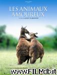 poster del film Animals in Love