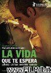 poster del film La vida que te espera