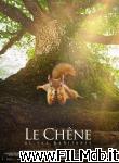 poster del film Le Chêne