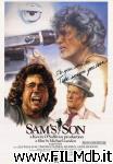 poster del film Sam's Son