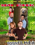 poster del film Perdus dans les bois
