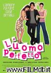 poster del film L'uomo perfetto