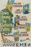 poster del film Down Among the Sheltering Palms