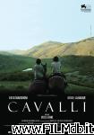 poster del film Cavalli