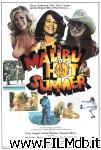 poster del film Malibu Hot Summer