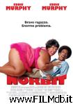 poster del film norbit