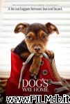 poster del film a dog's way home