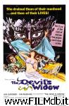 poster del film The Devil's Woman