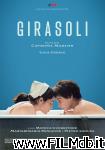 poster del film Girasoli